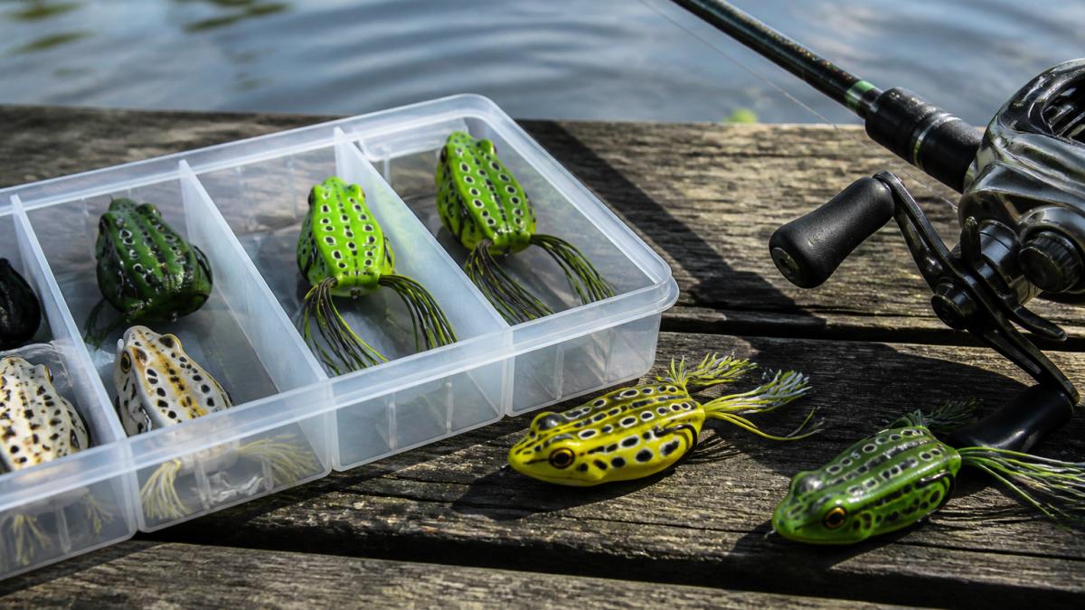 Best Topwater Frogs for Summer Bass: 2026 Guide