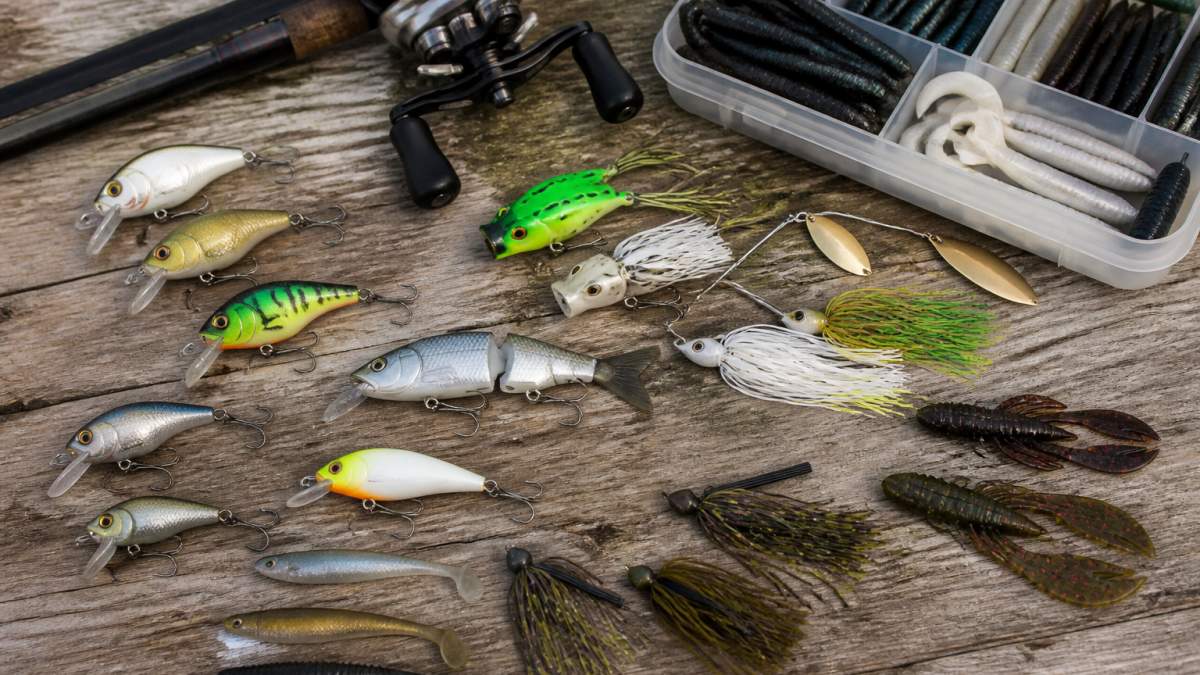 Buy High Quality Bass Lures Online: 10 Best Picks