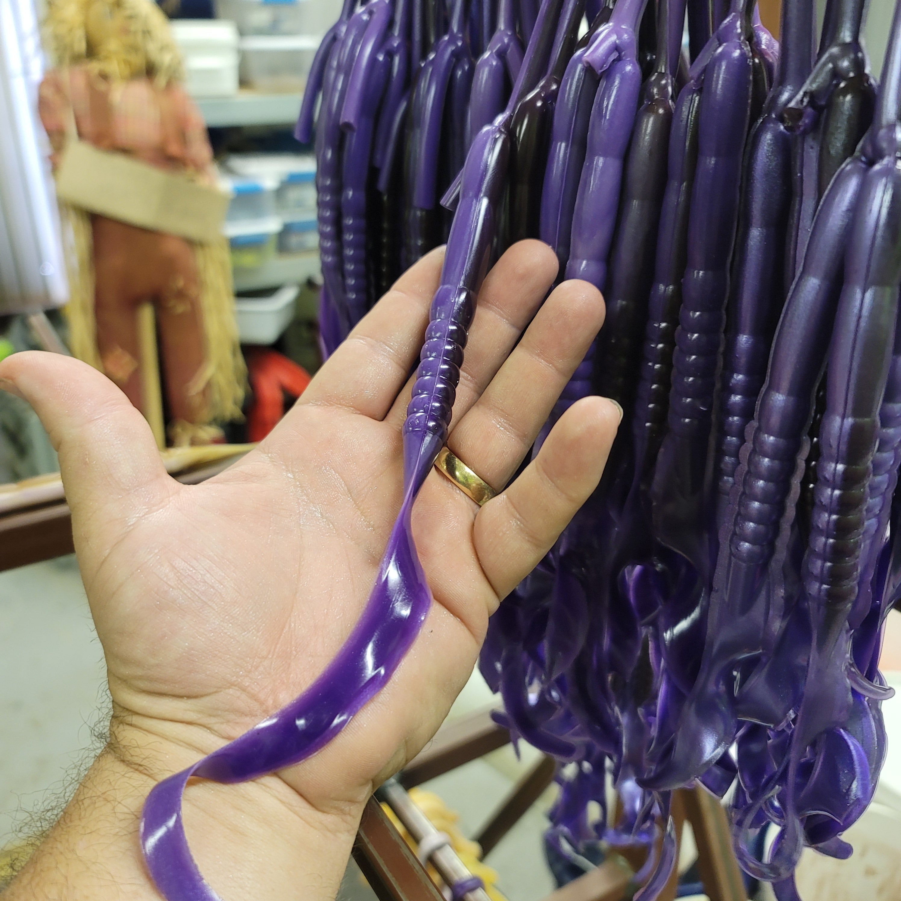 Ribbon Tail Worm, Giant