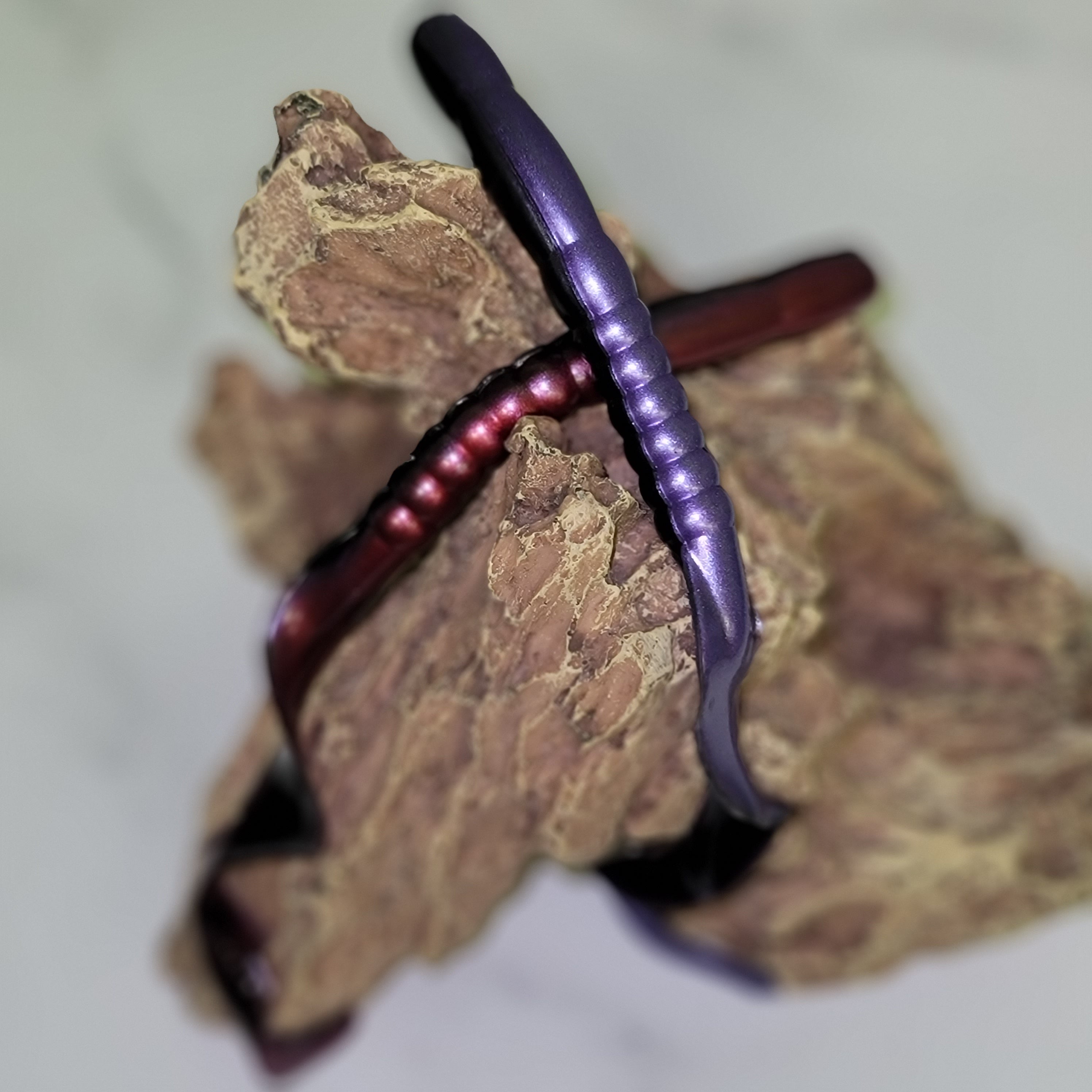 Ribbon Tail Worm, Giant