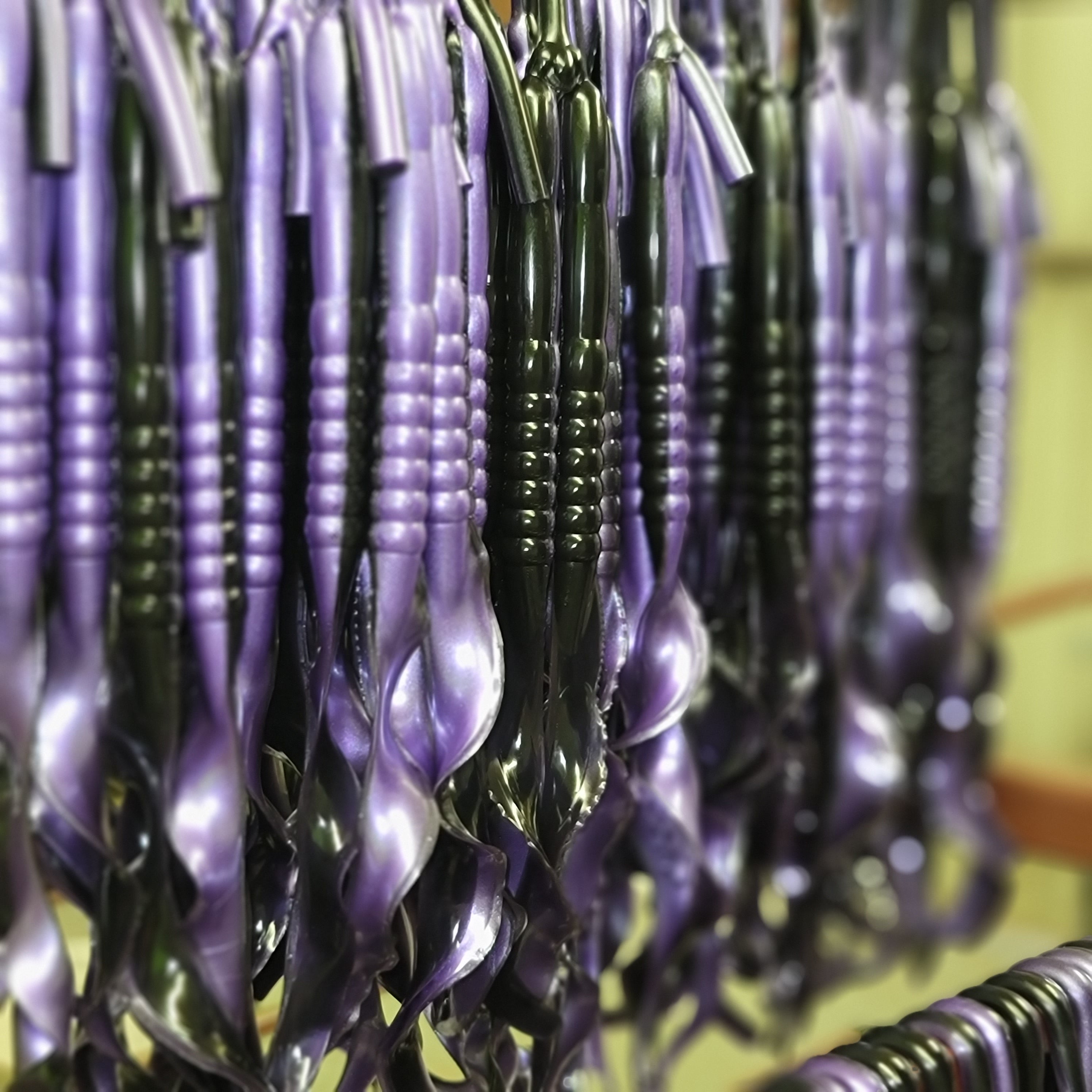 Ribbon Tail Worm, Giant