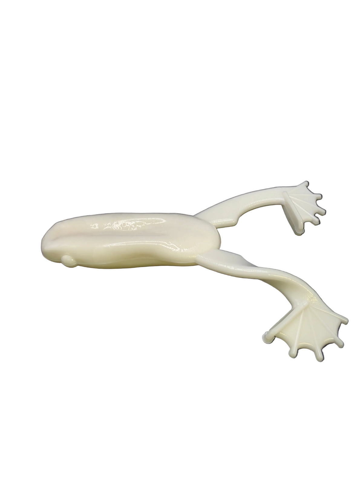 Croaking Frog