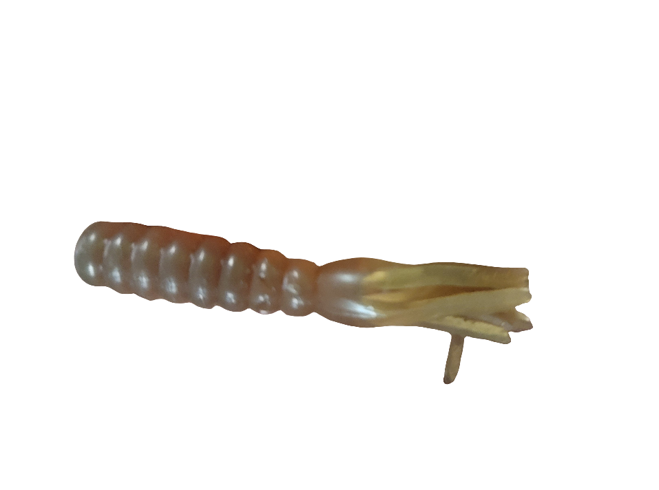 Skirted Grub