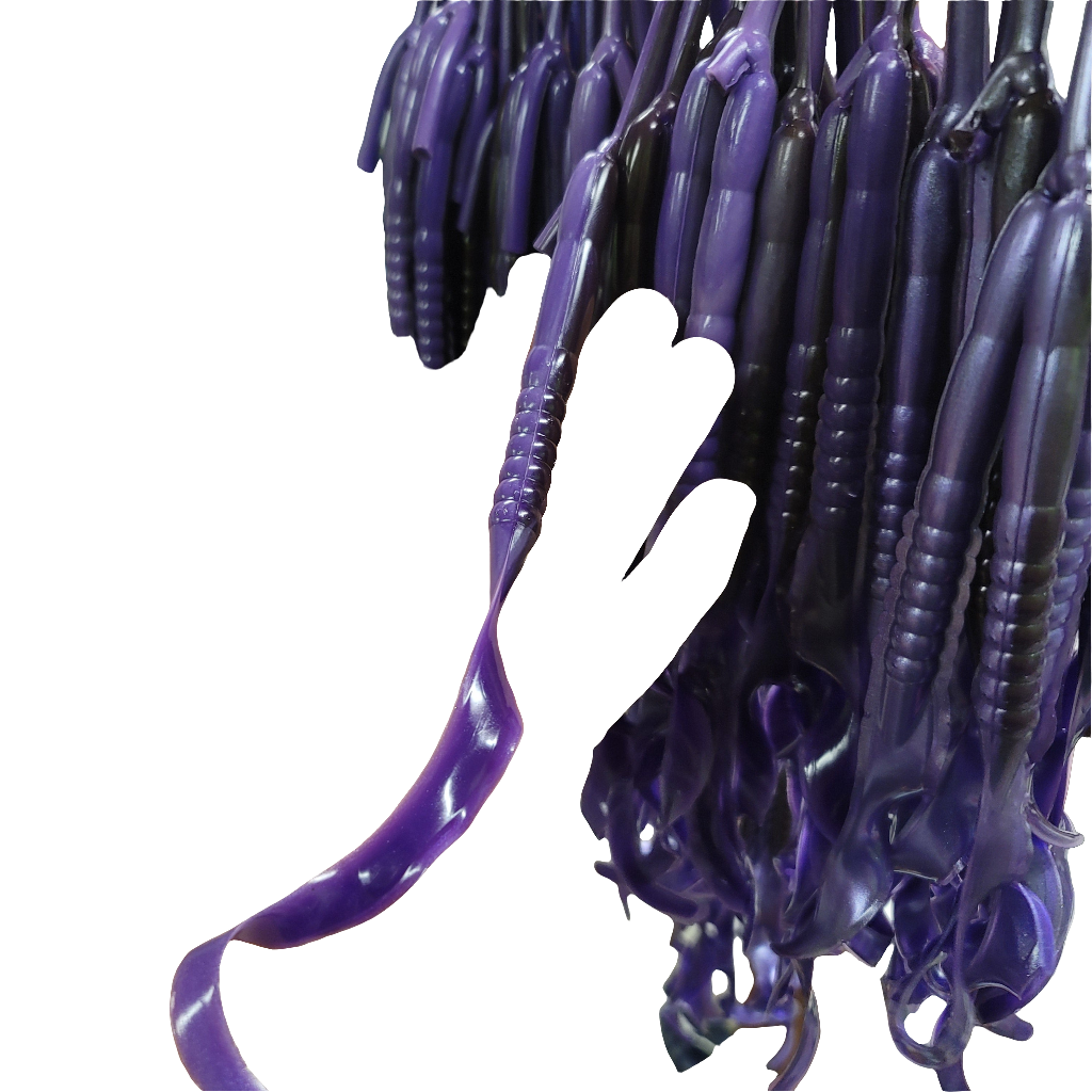 Ribbon Tail Worm, Giant