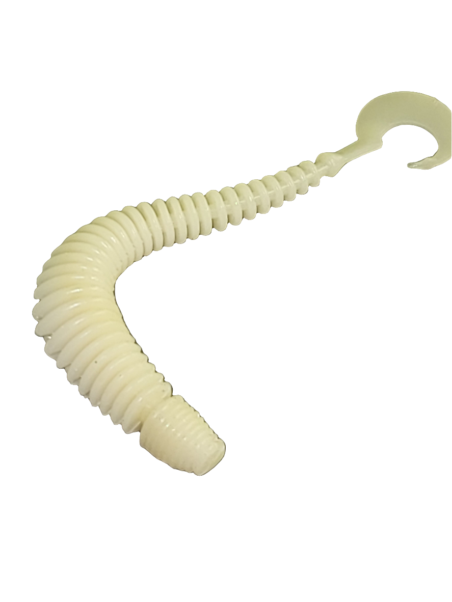 Ring Worm