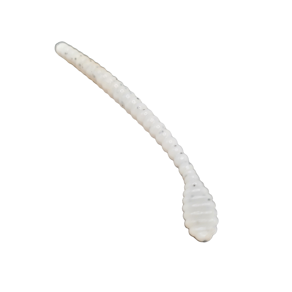 Beaded Worm