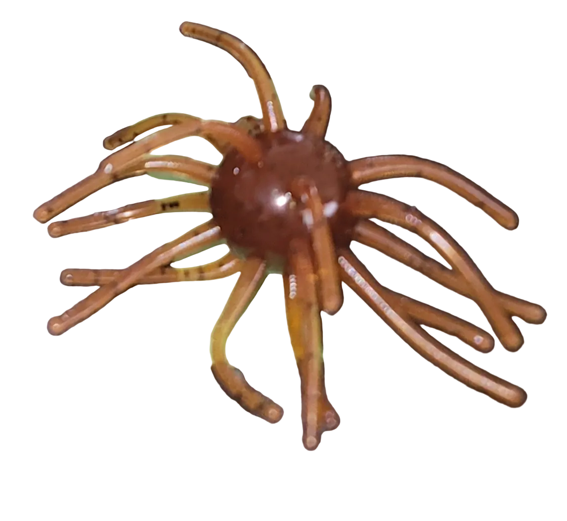 Atomic Urchin