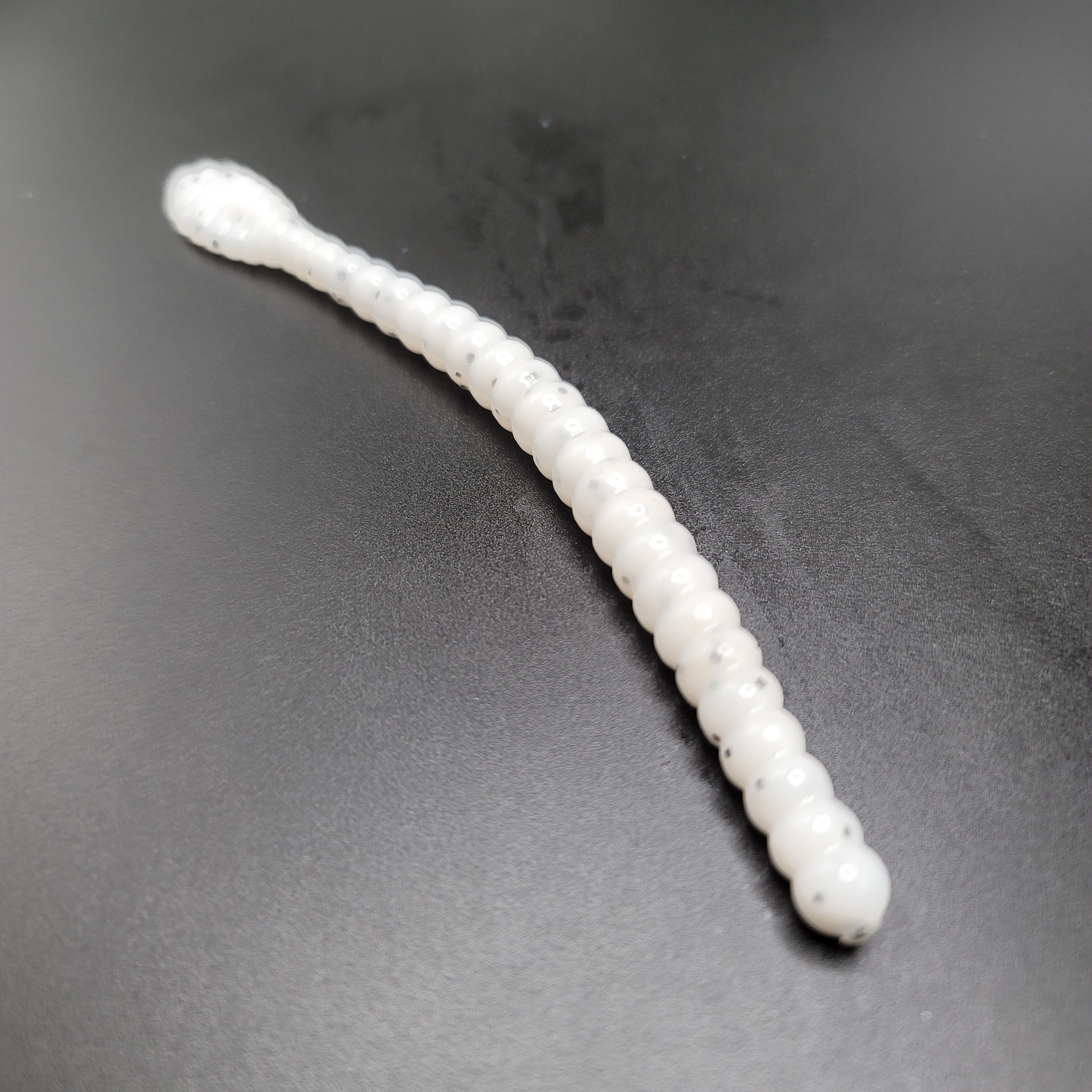 Beaded Worm