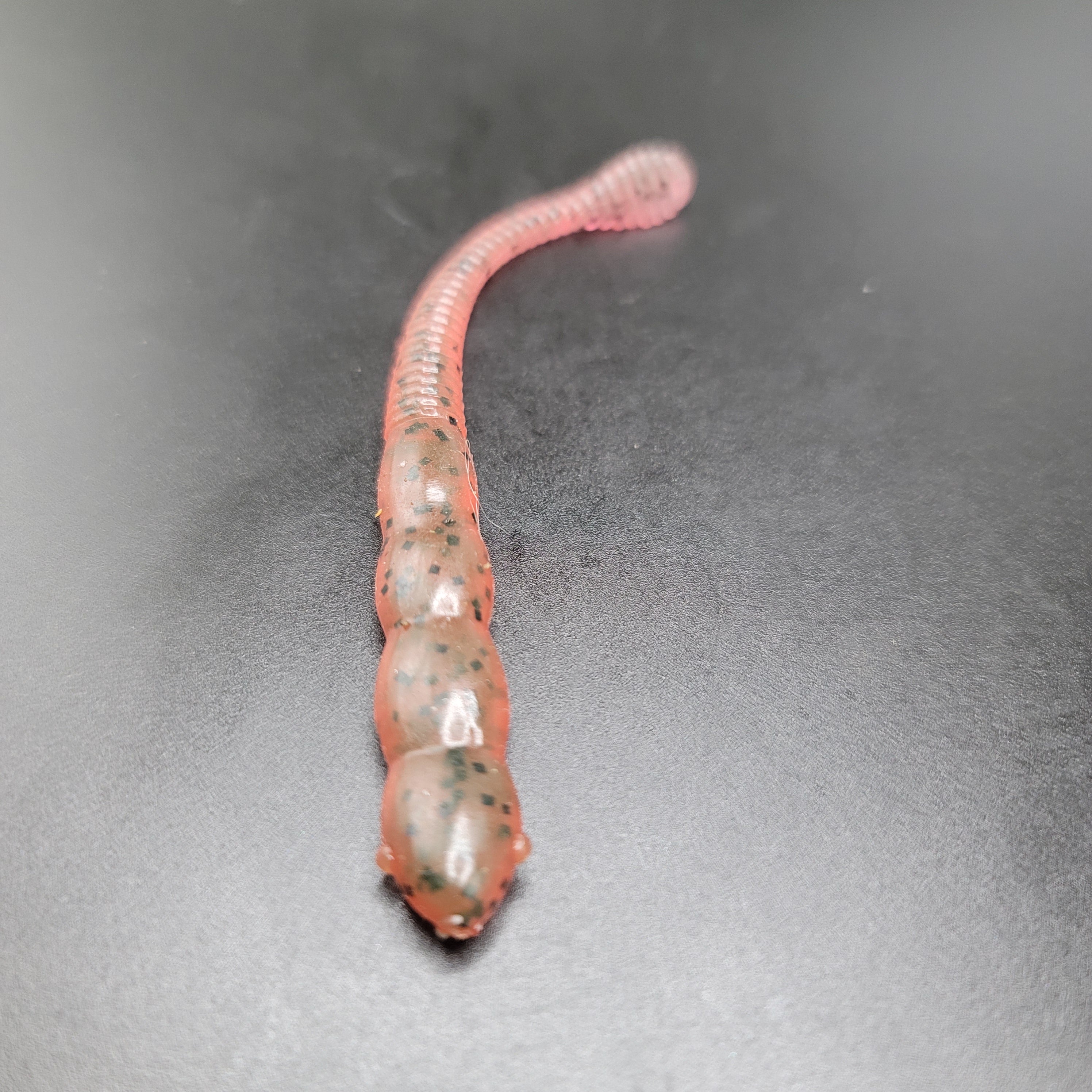 Meat-Head Worm