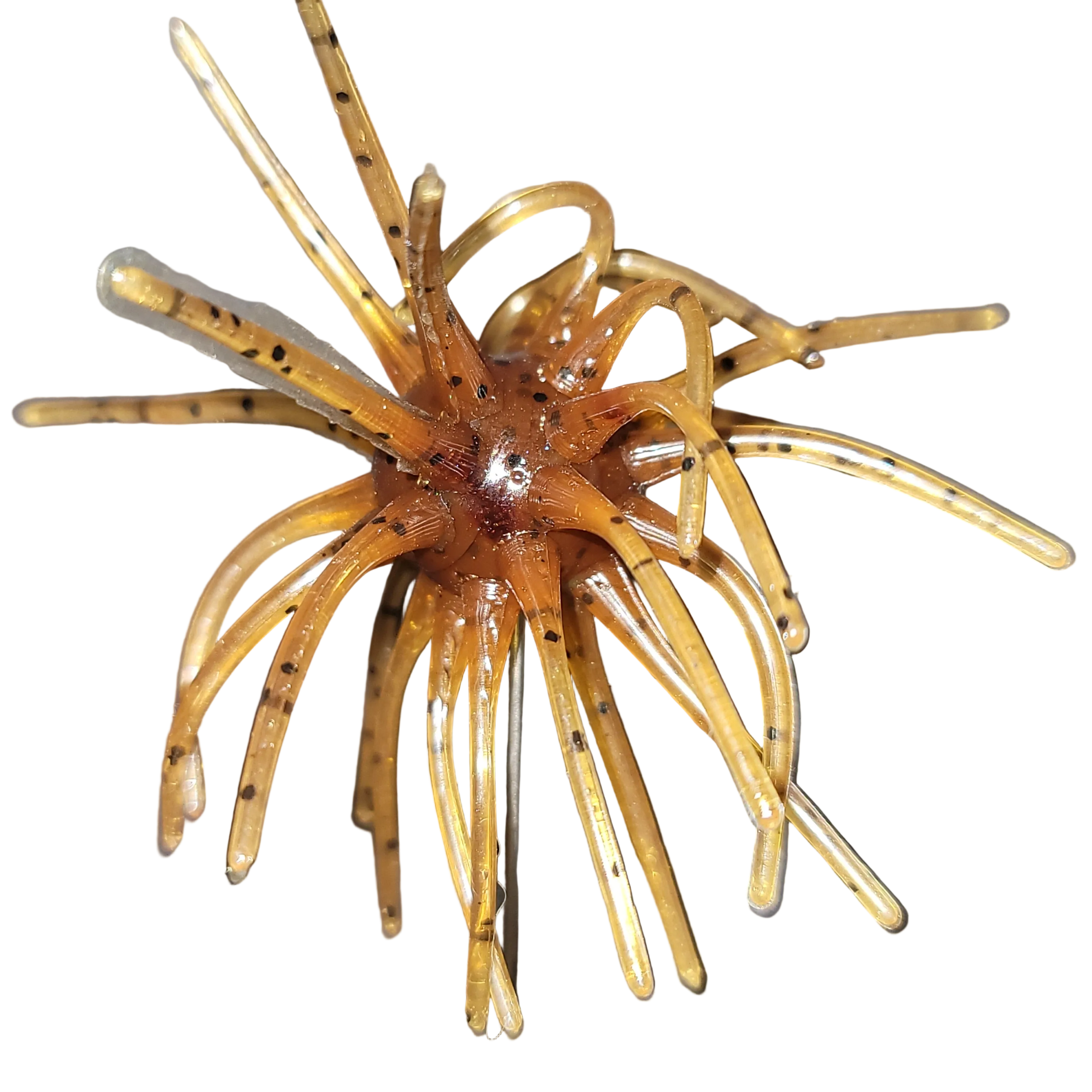 Plasma Urchin