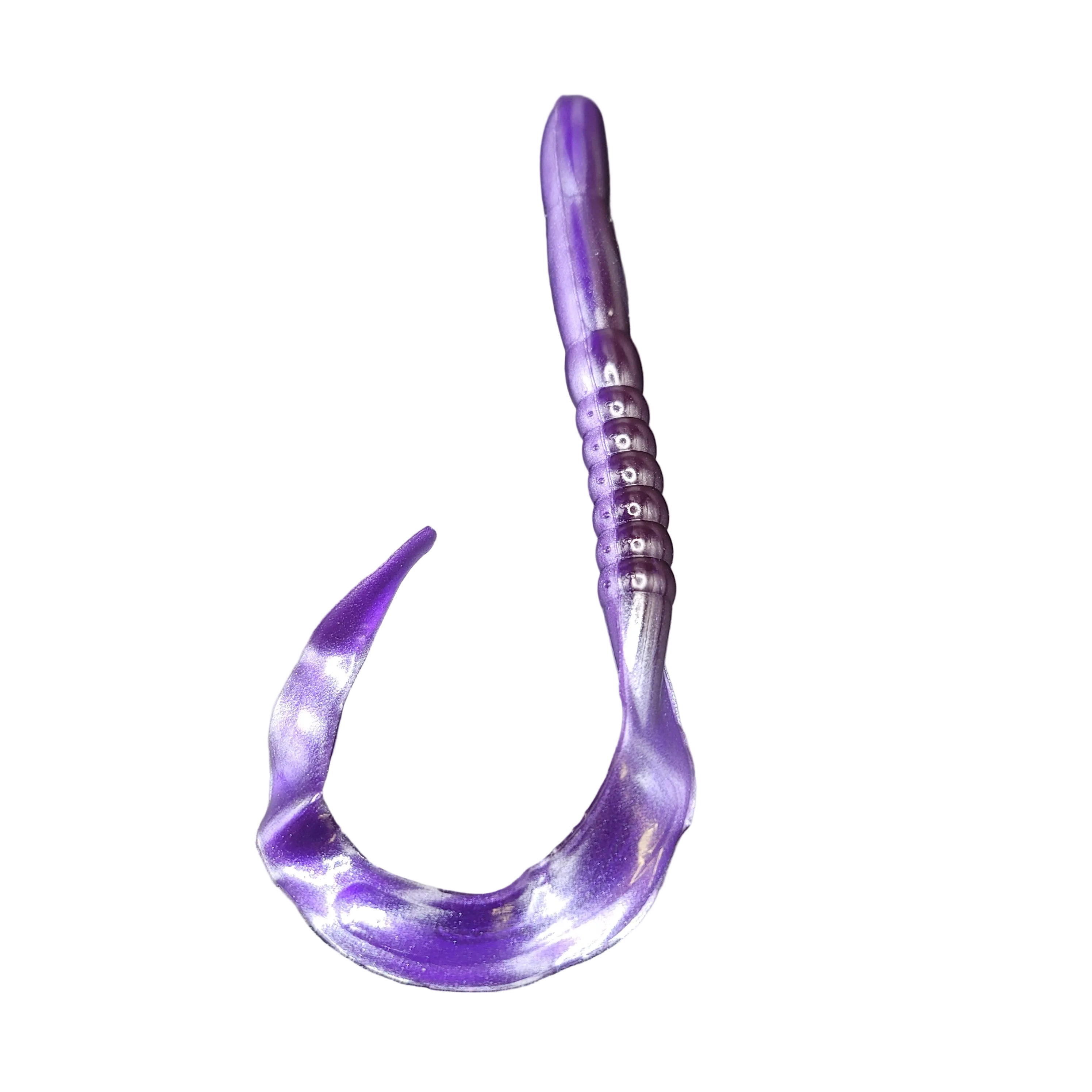 Ribbon Tail Worm, Giant