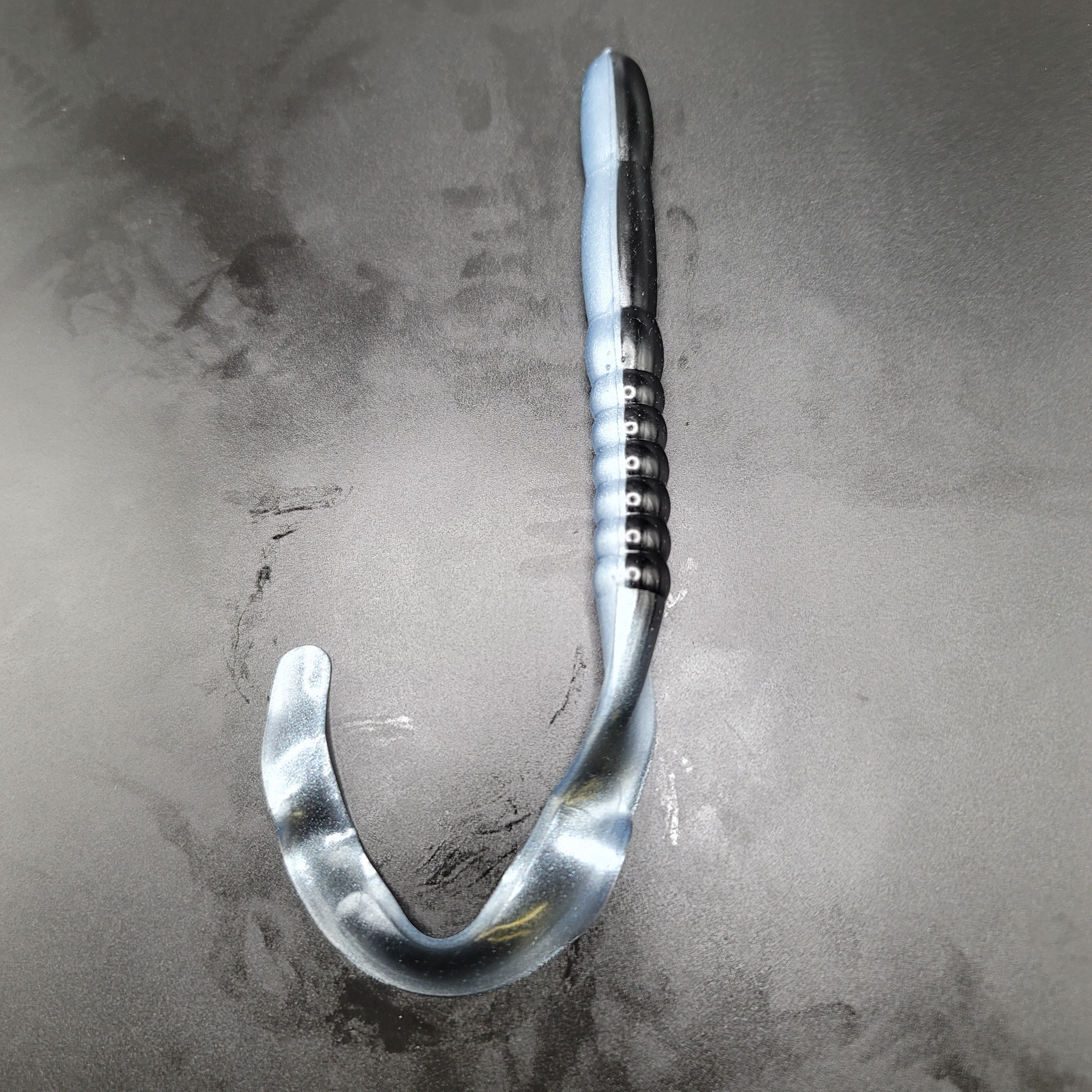 Ribbon Tail Worm, Giant