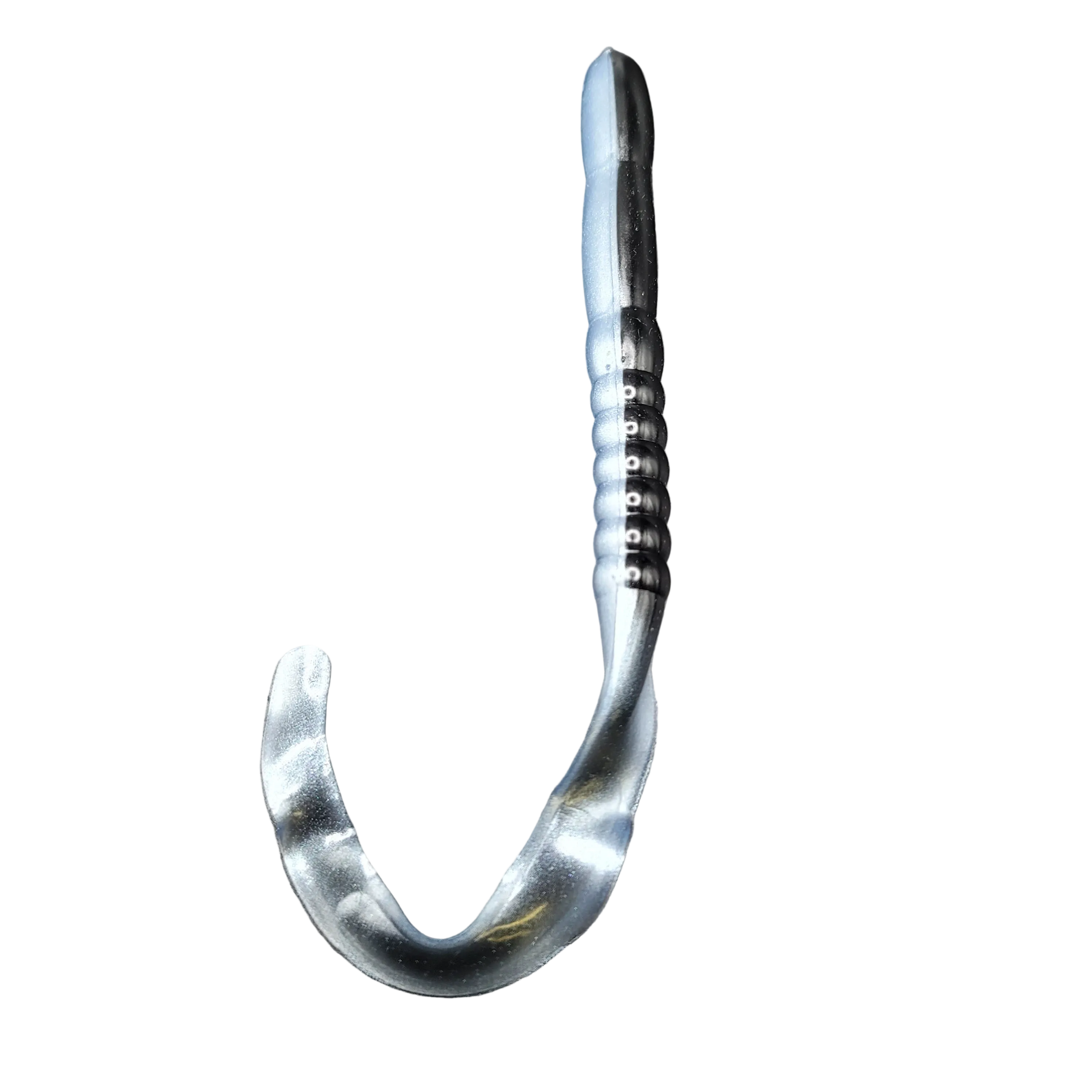 Ribbon Tail Worm, Giant