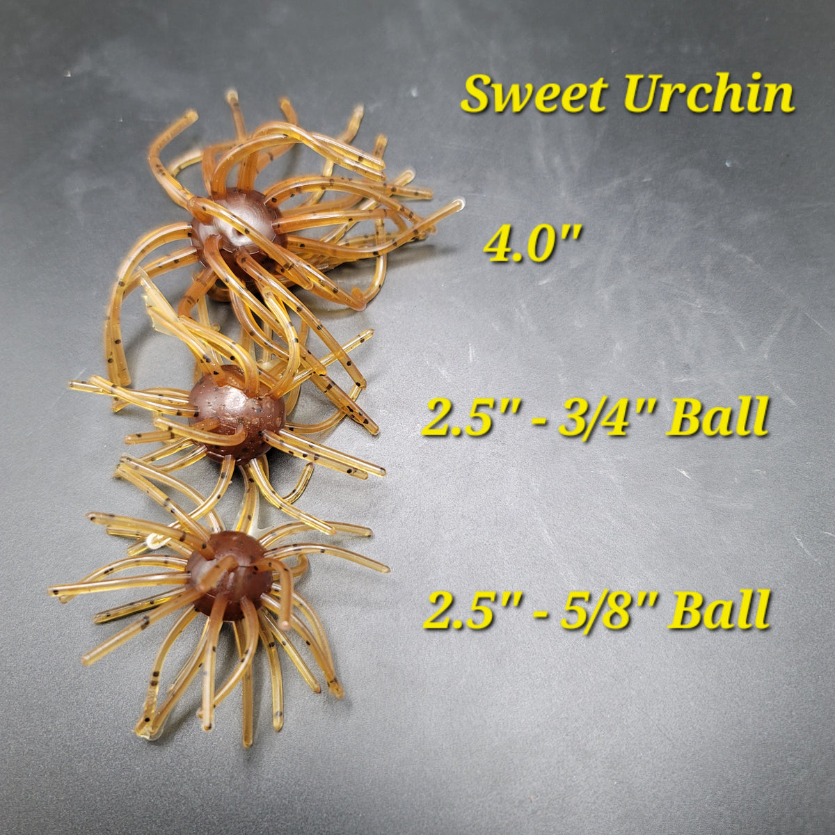 Sweet Urchin