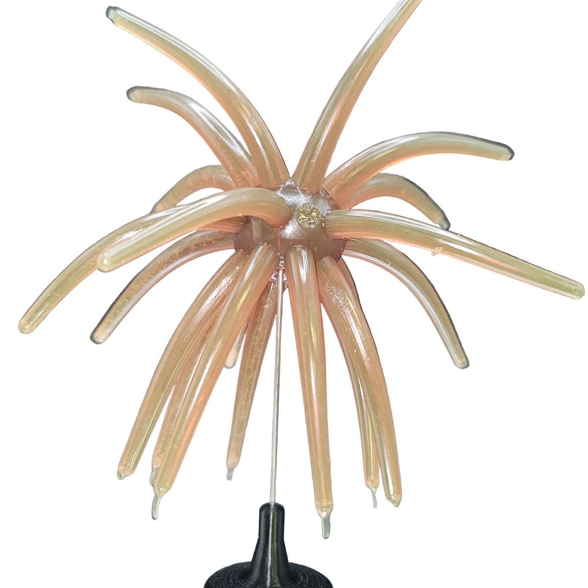 Mega Urchin