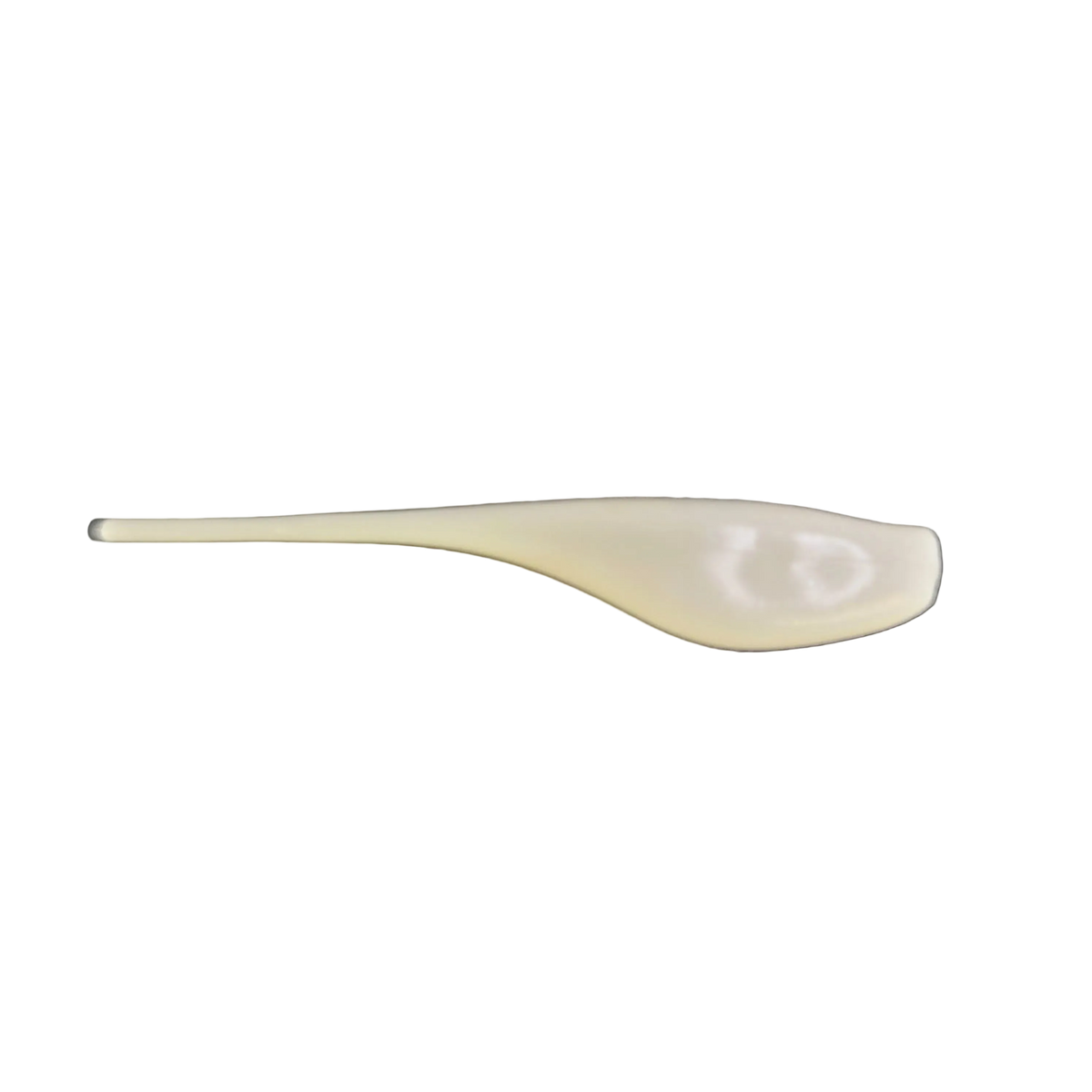 2" Tasty Minnow