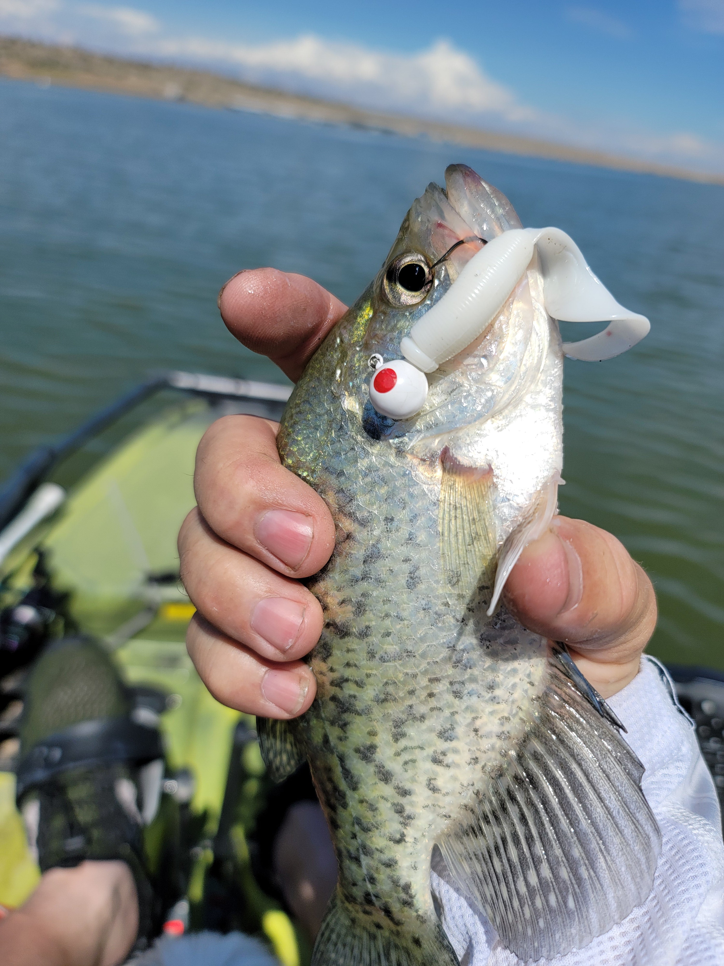 Grub, Bullet-Head 4"