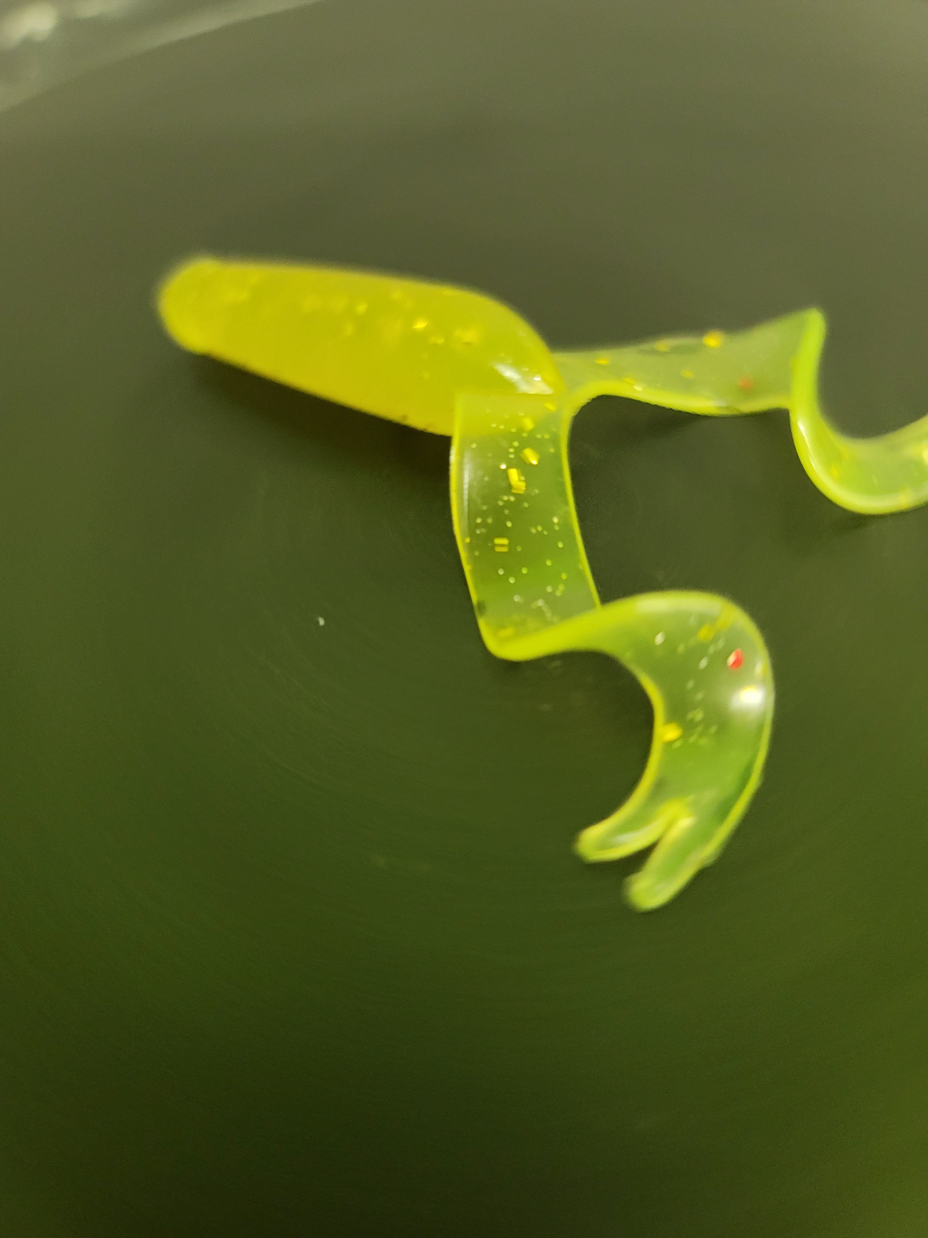 Grub, Double Tailed Bullet-Head