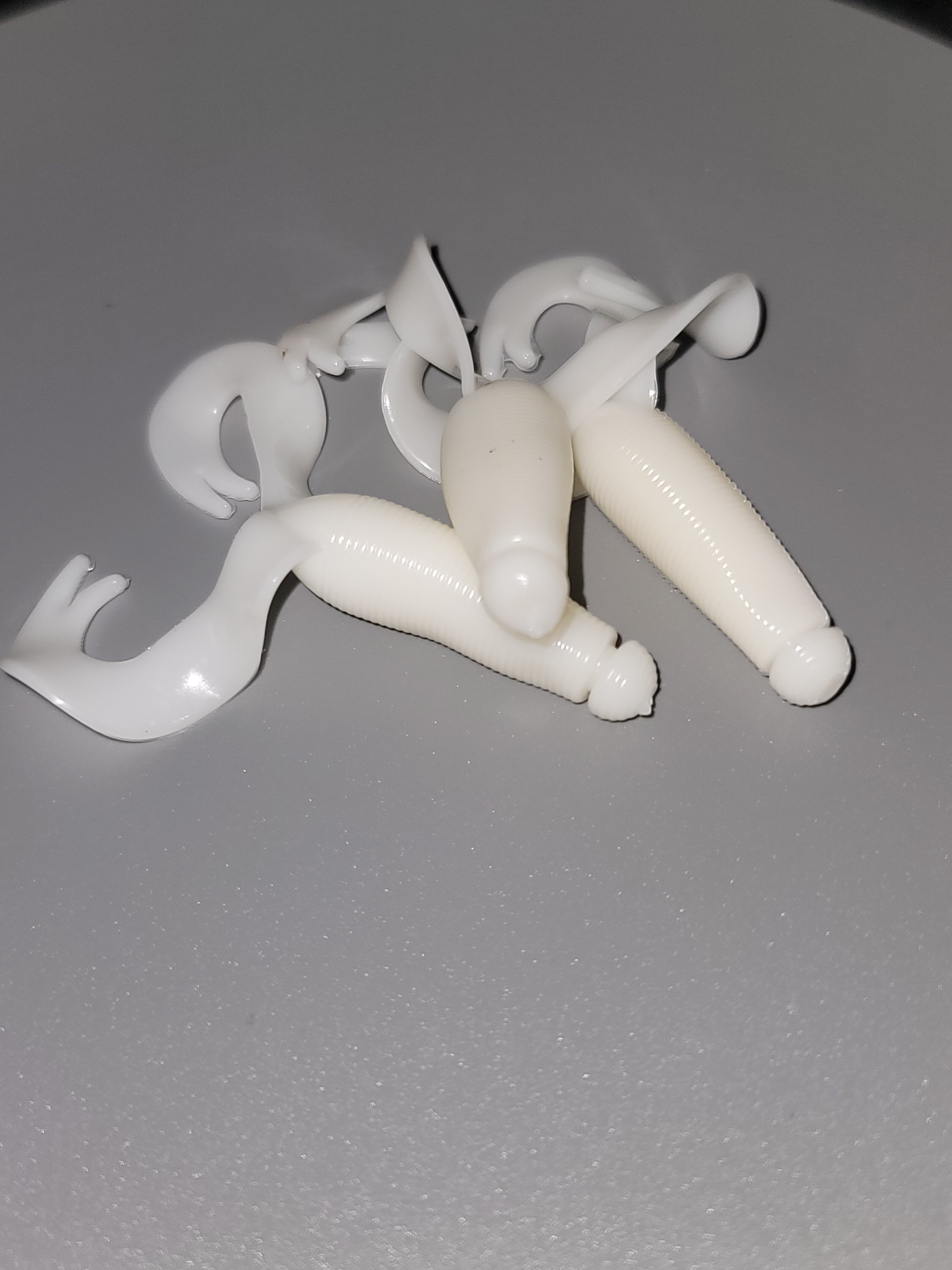 Grub, Double Tailed Bullet-Head