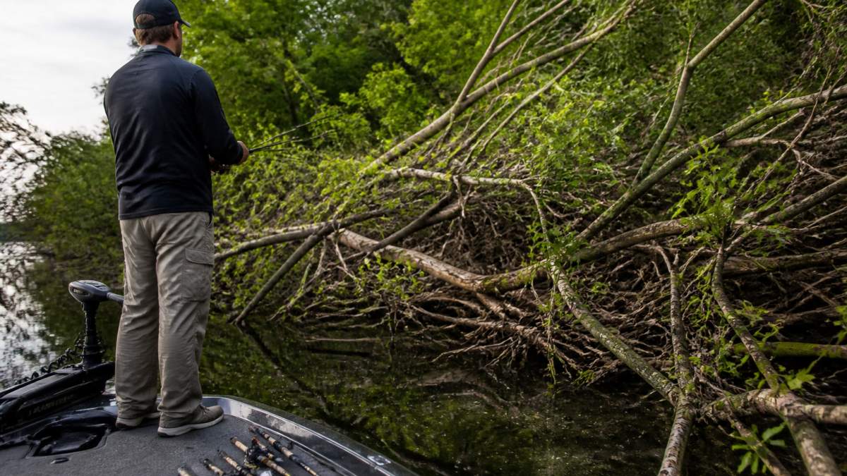 How to Fish Heavy Cover for Bass: A Step-by-Step Guide