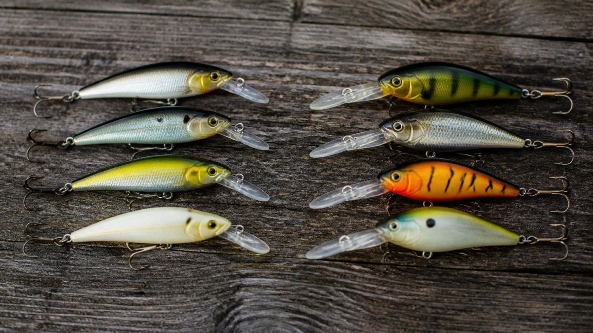 Strike King vs Rapala Lures: Which Performs Better