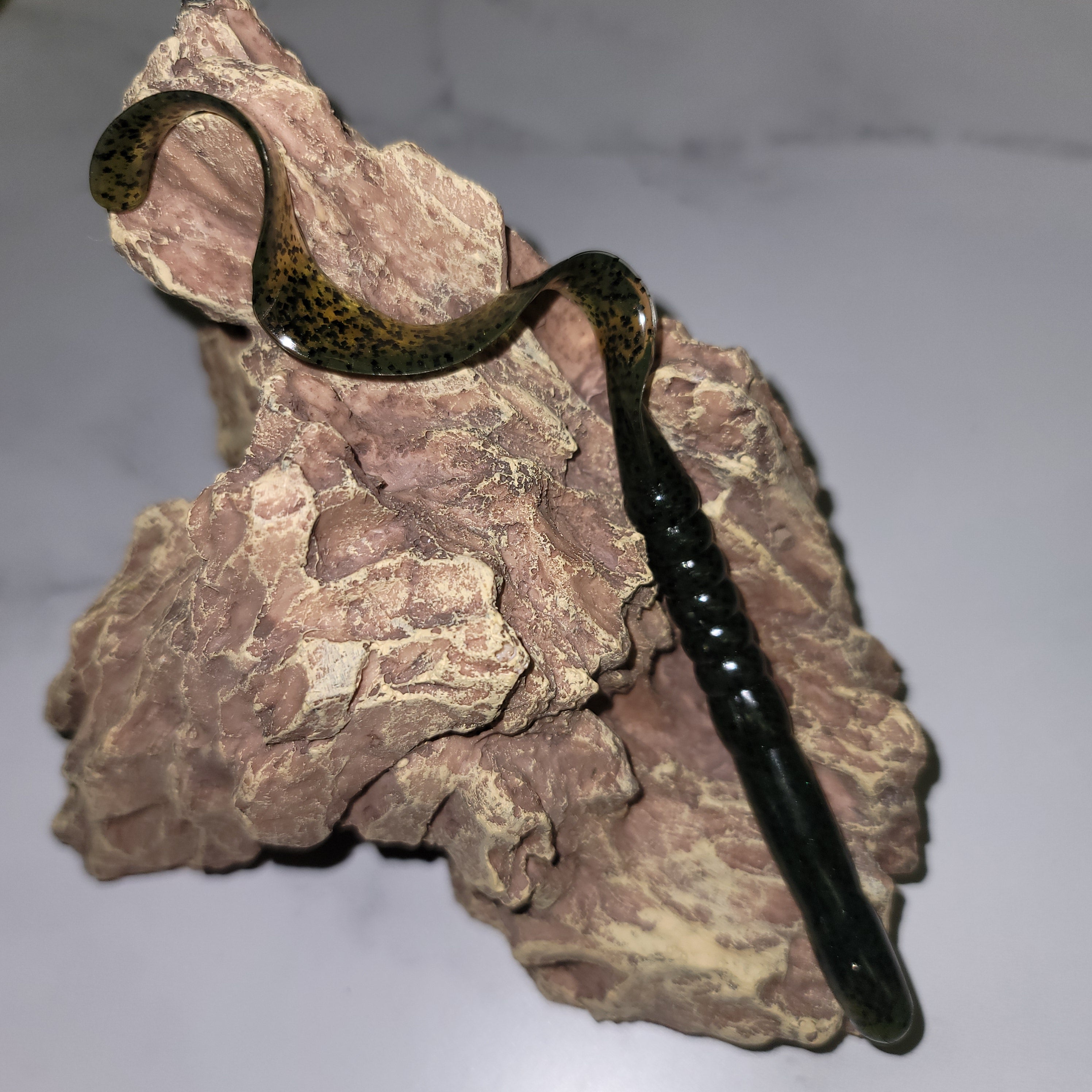 Ribbon Tail Worm, Giant