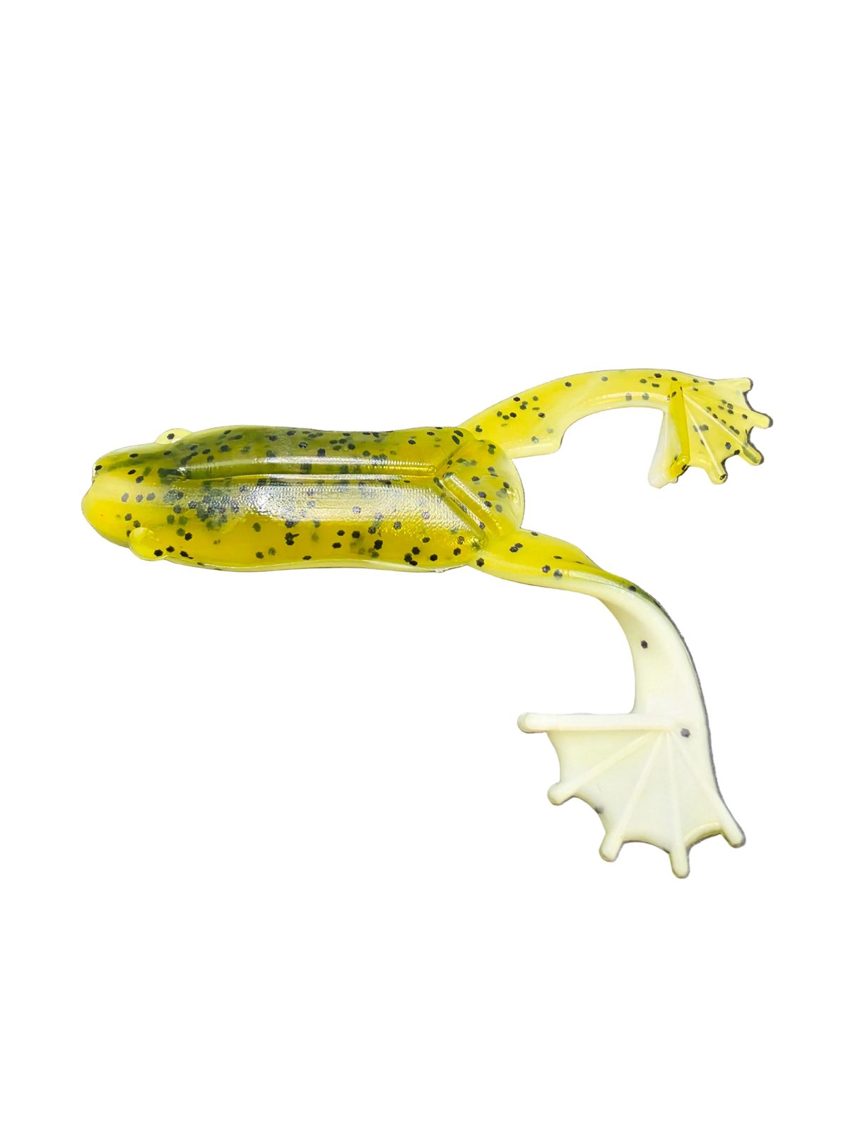 Croaking Frog