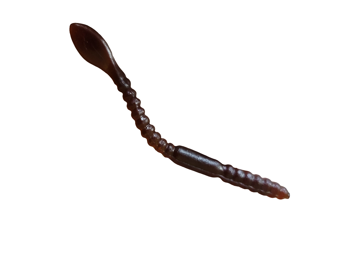 Paddle Worm 4"