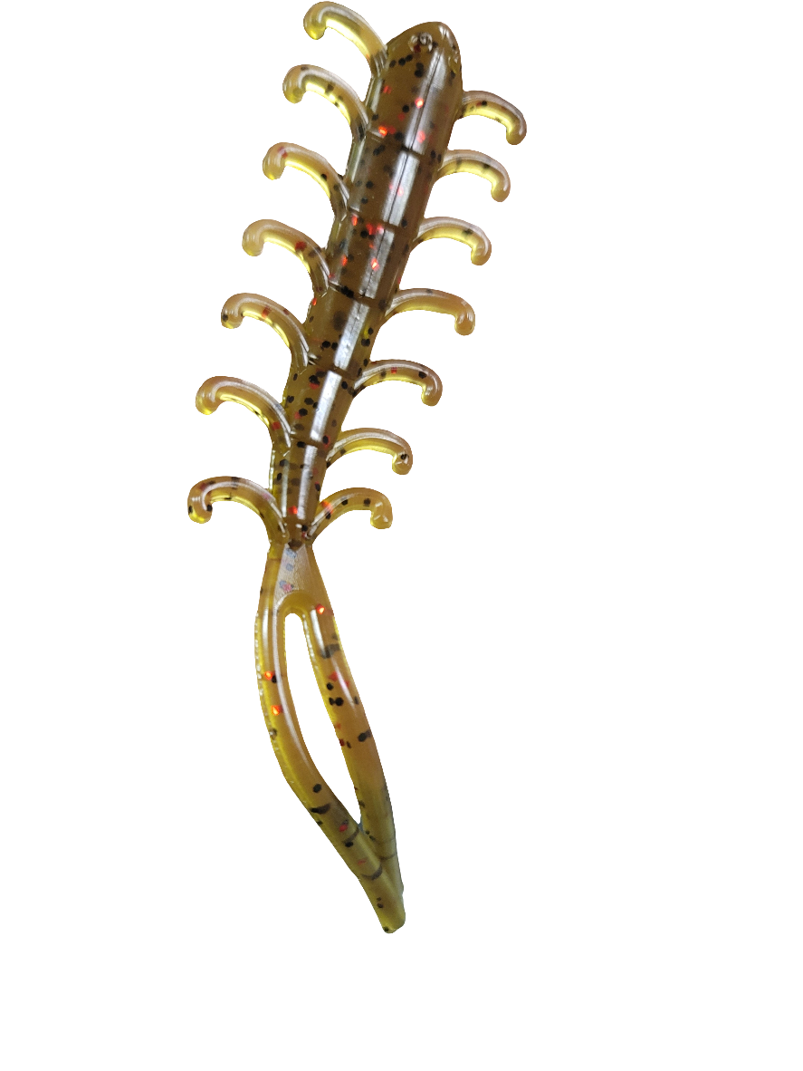 Centipede