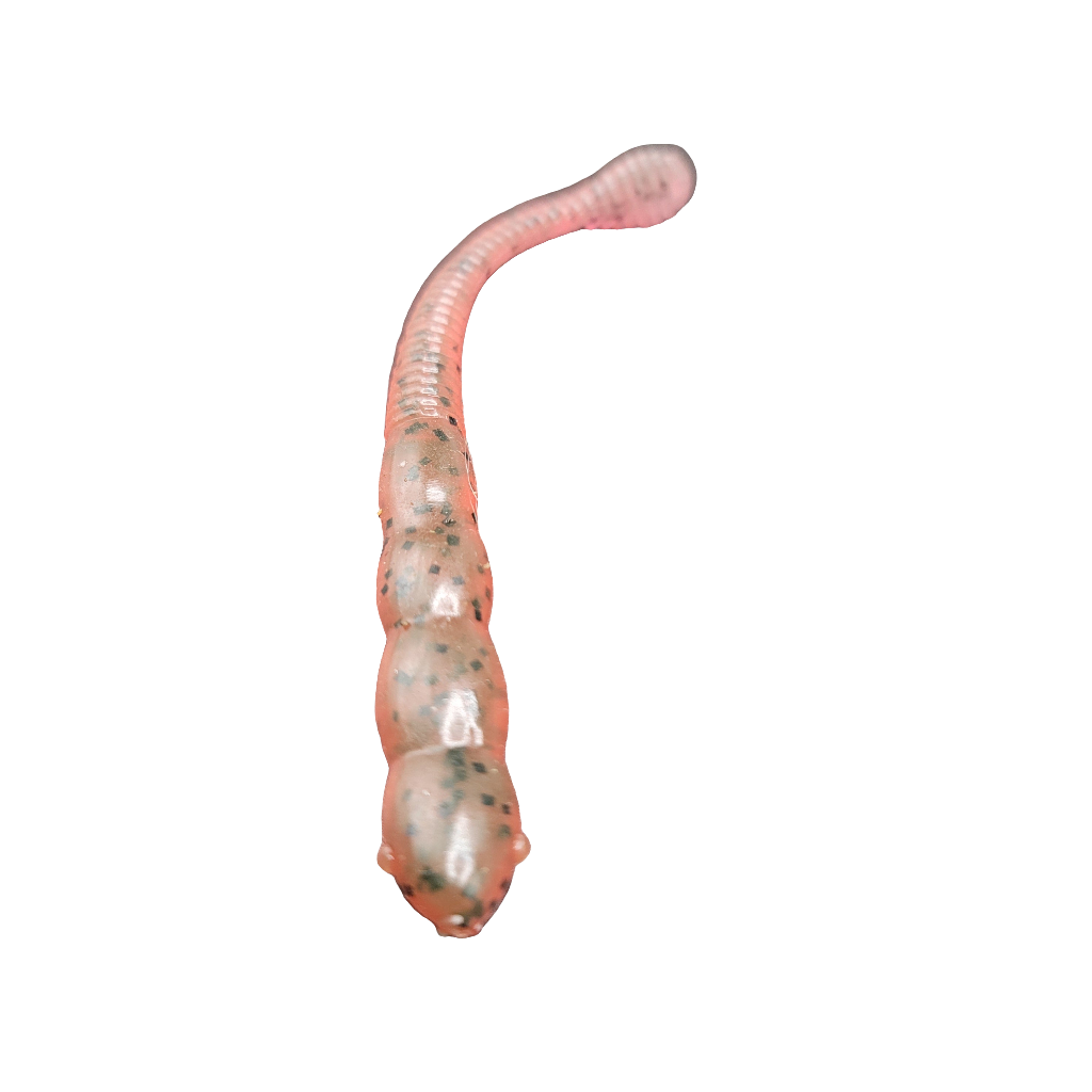 Meat-Head Worm