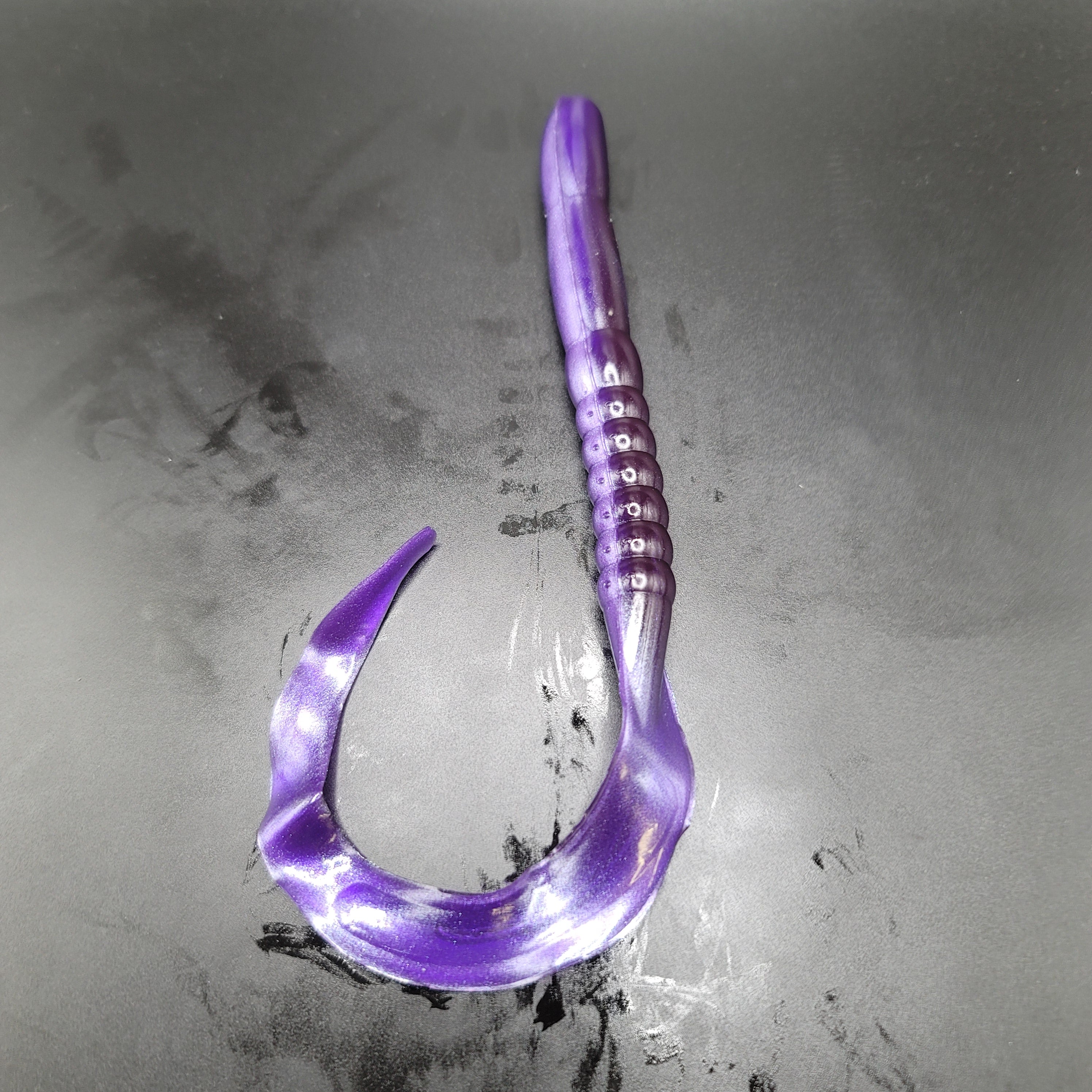 Ribbon Tail Worm, Giant