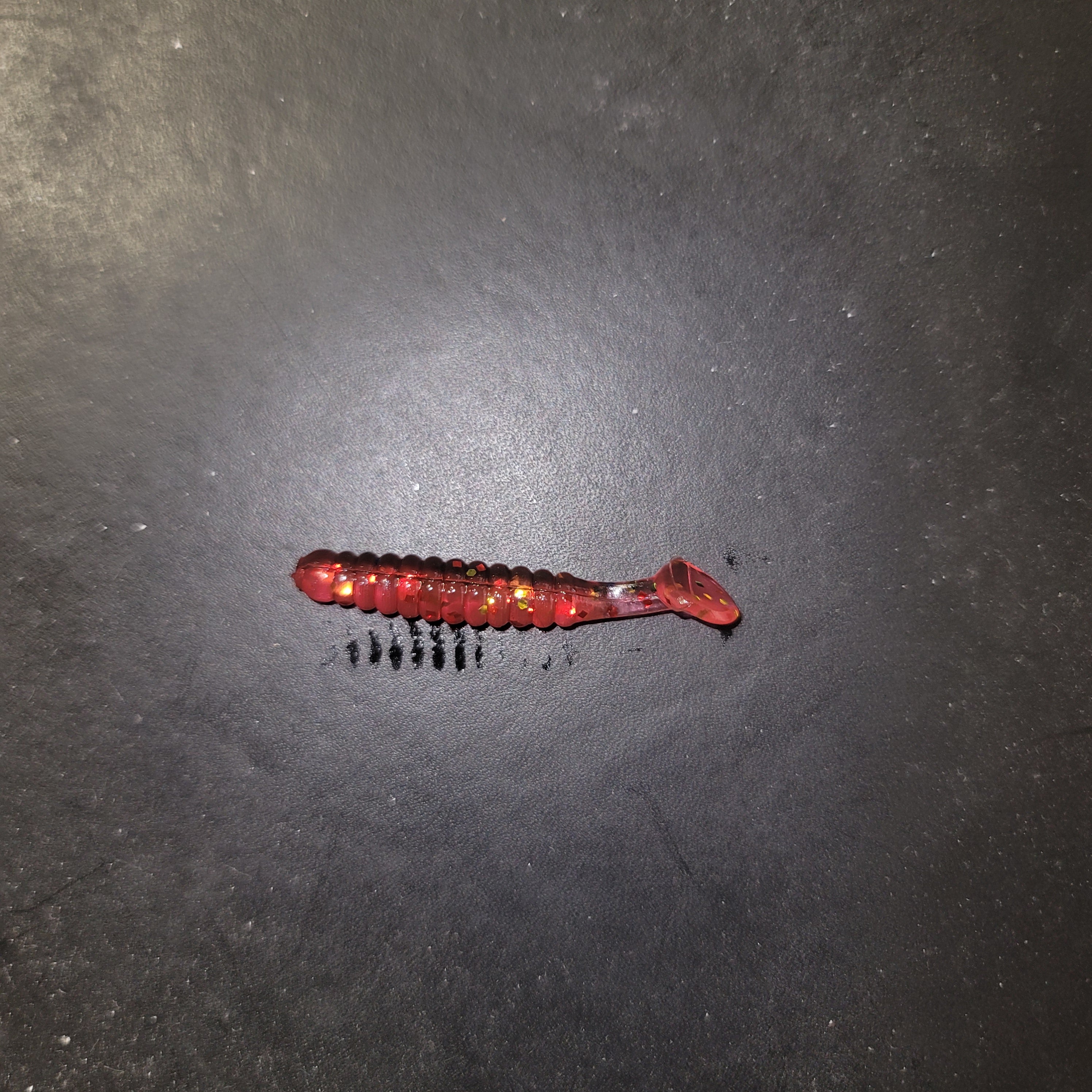 Beaded Paddletail