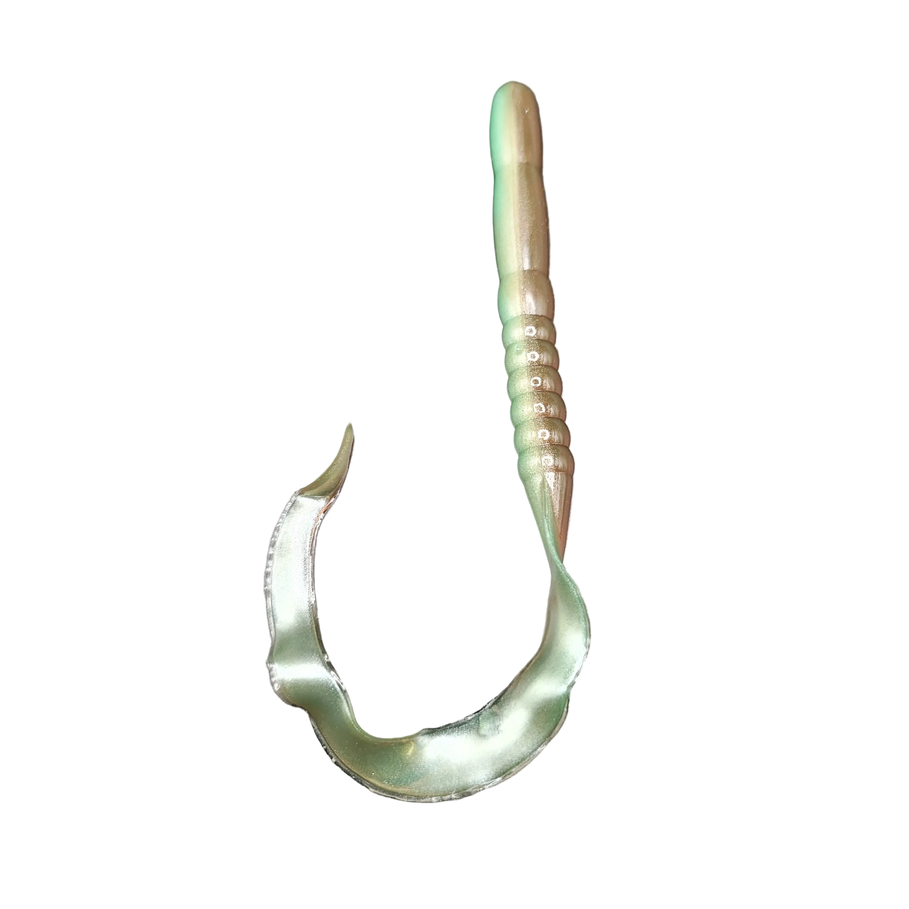 Ribbon Tail Worm, Giant