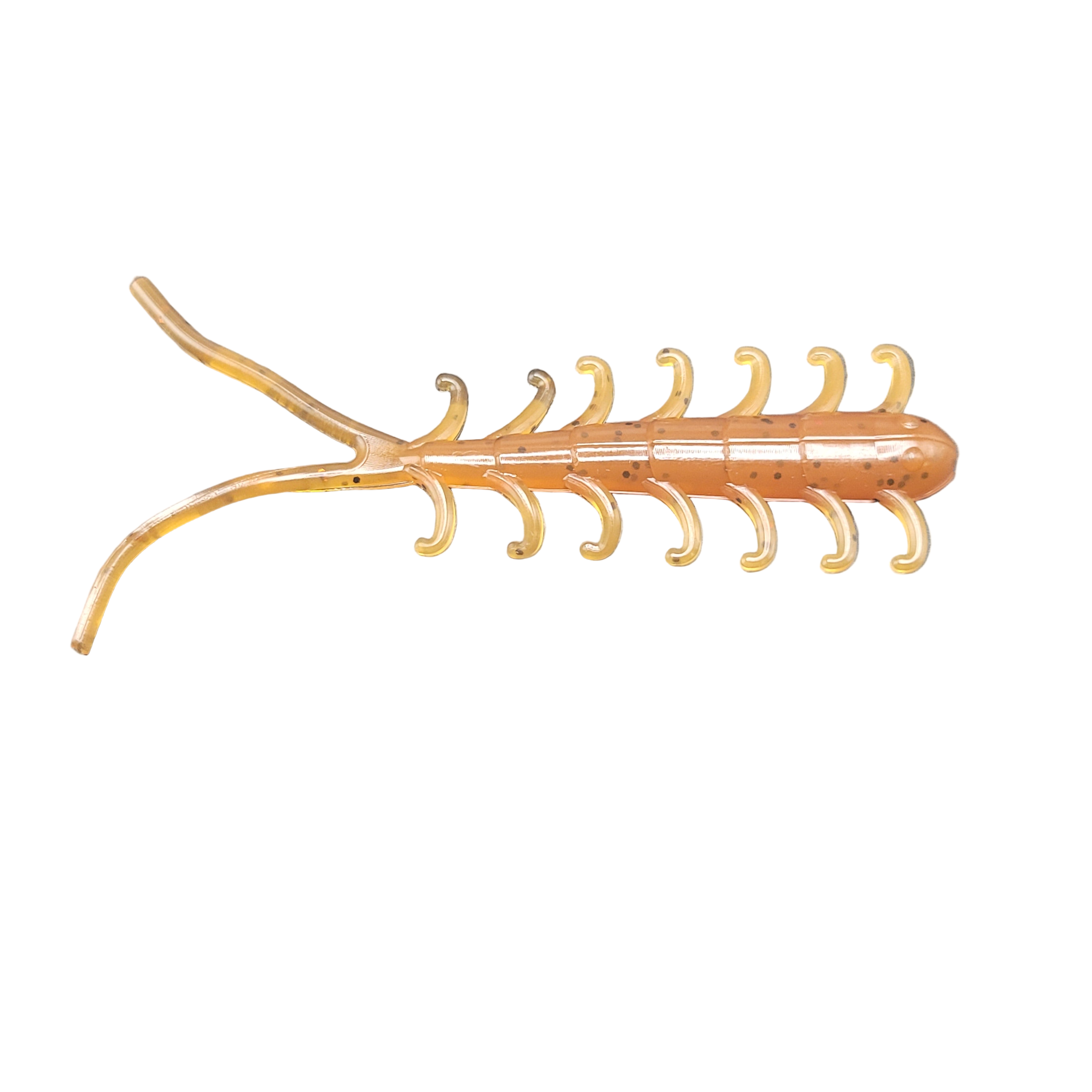 Centipede