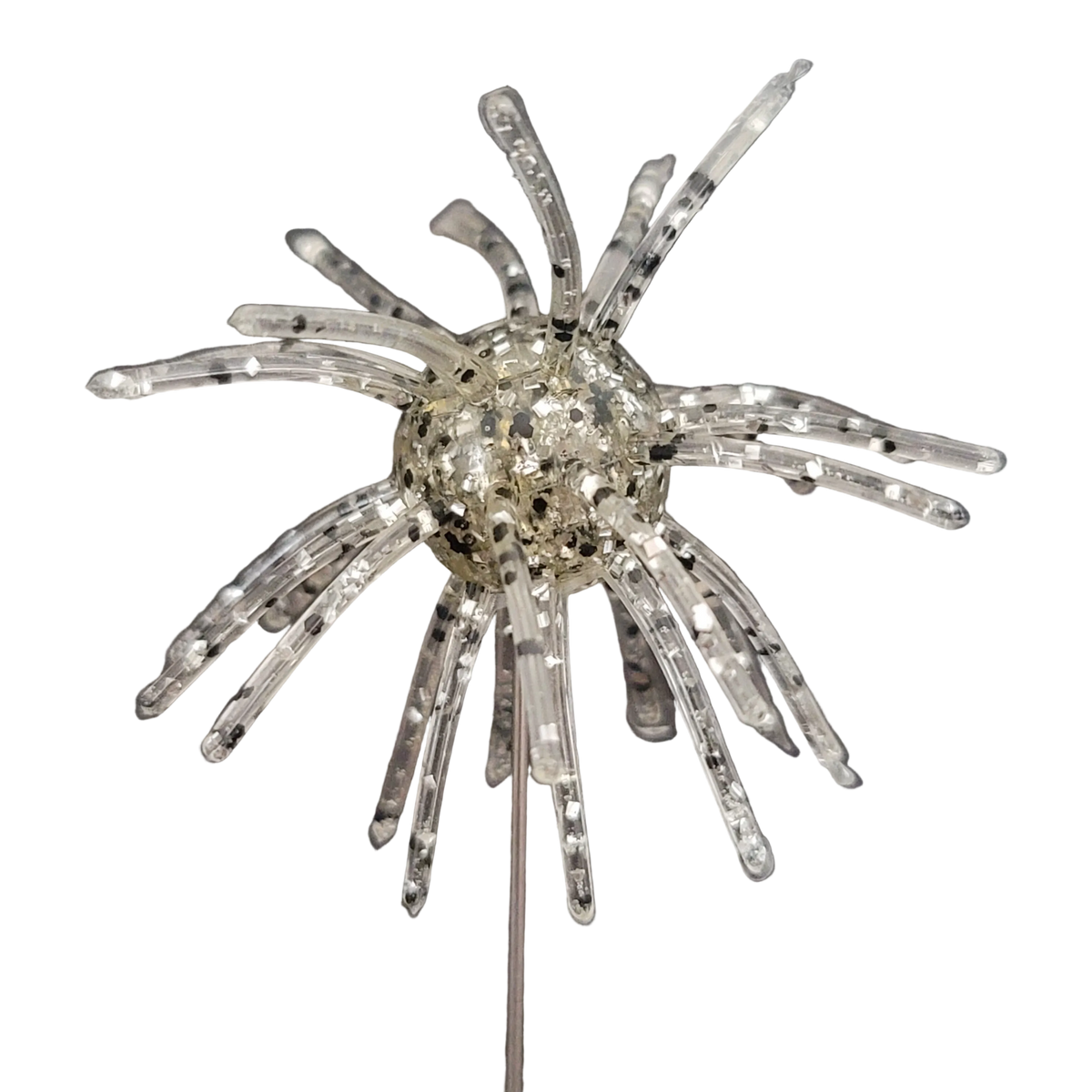 Sweet Urchin
