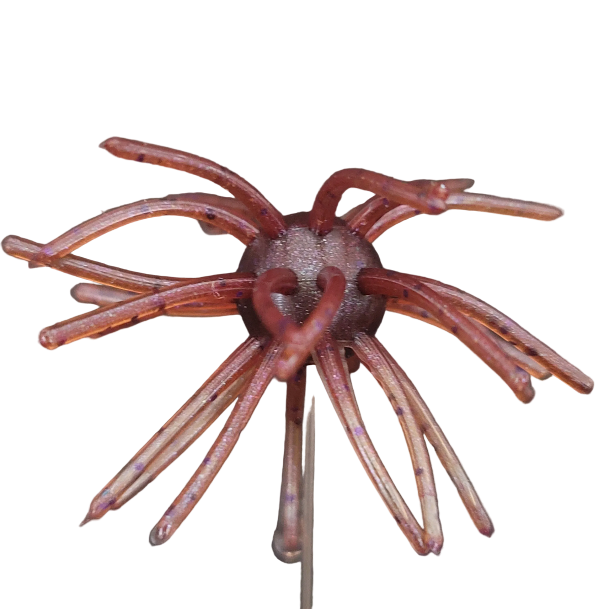 Sweet Urchin
