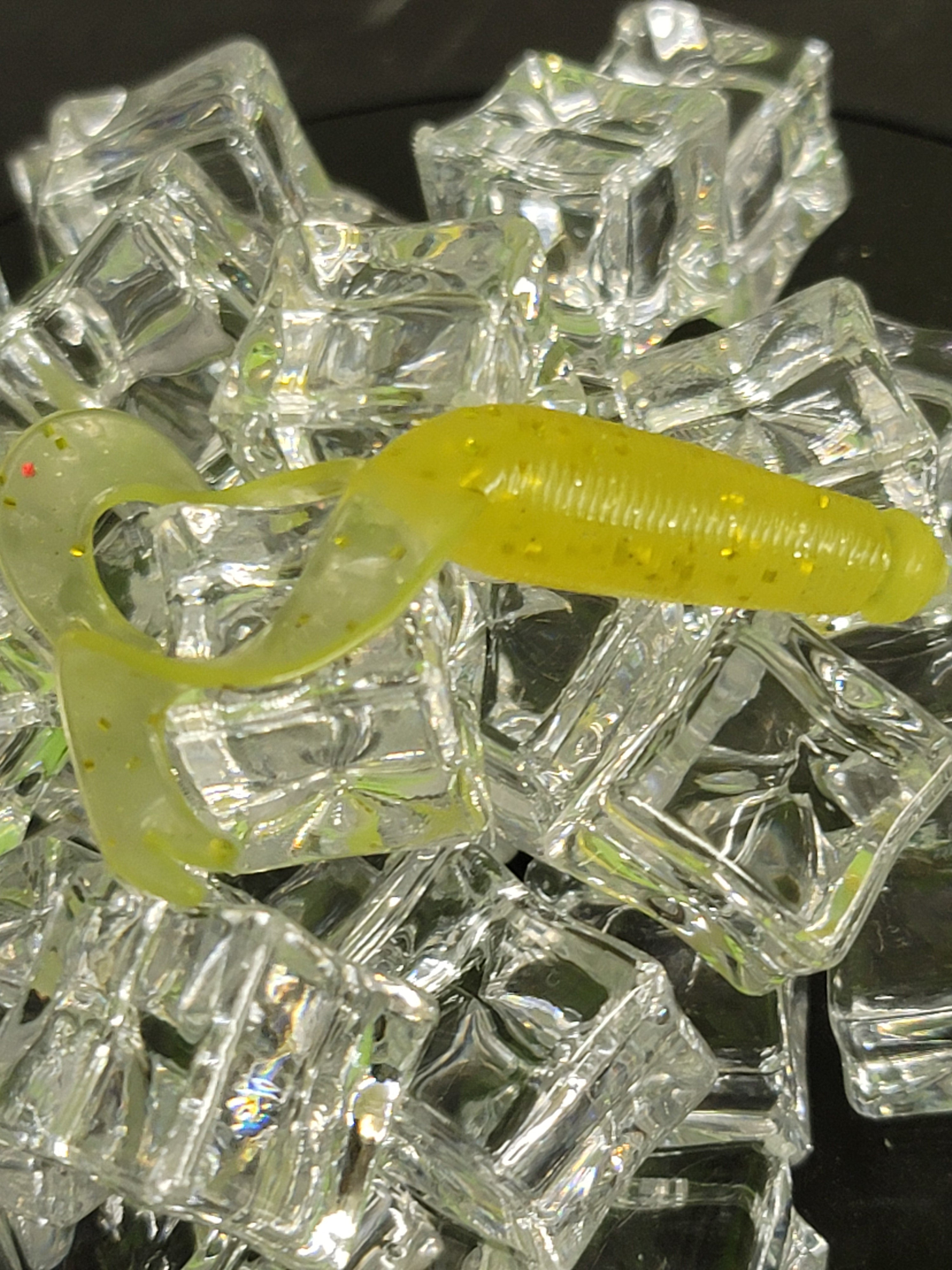 Grub, Double Tailed Bullet-Head